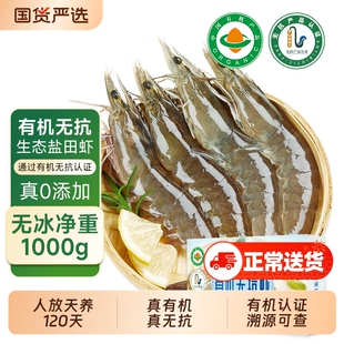 有机无抗盐田虾鲜冻虾大虾鲜活水产海鲜虾速冻冷冻虾盐田虾生冻