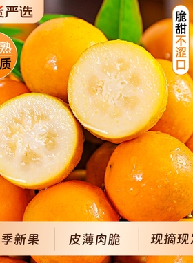 融安脆皮金桔10斤广西小橘子蜜金柑新鲜纯甜当季水果孕妇整箱包邮