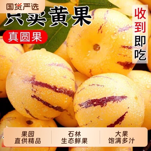 云南石林人参果树上熟清甜多汁