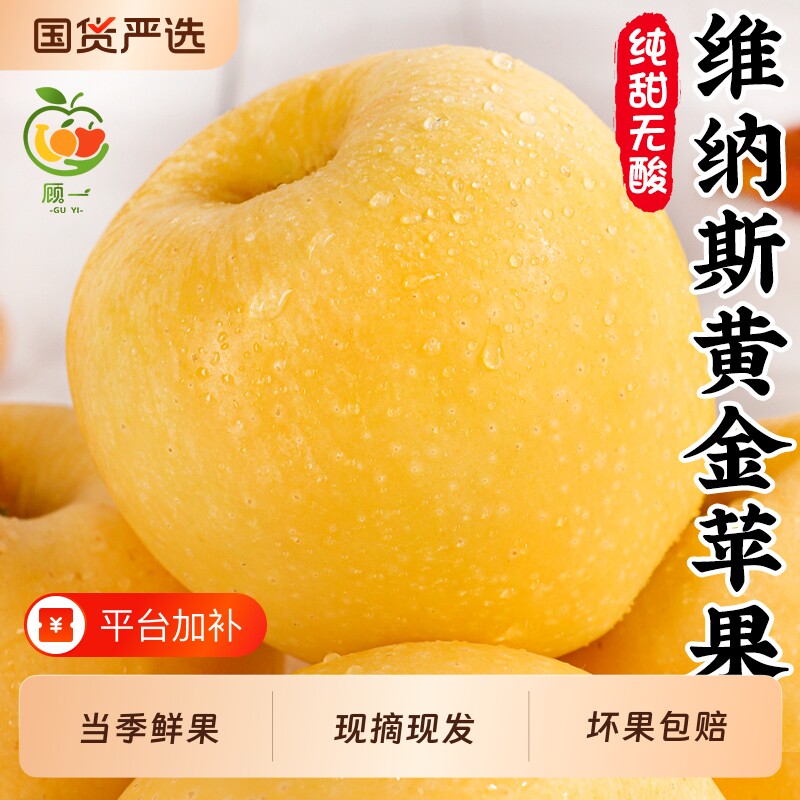 正宗维纳斯黄金苹果新鲜水果山东烟台旗舰店当季整箱顺丰包邮
