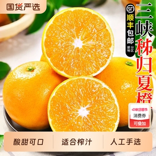 手剥酸甜三峡橙子榨汁专用送货国货 包邮 夏橙新鲜当季 时令水果整箱
