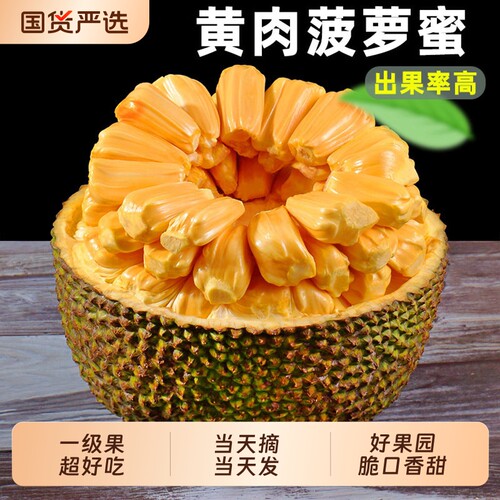 海南三亚黄肉菠萝蜜新鲜水果