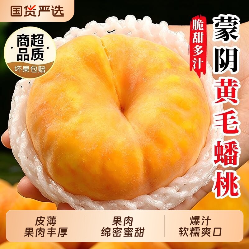 蒙阴黄毛蟠桃5斤新鲜水果桃子脆甜黄肉黄金扁黄桃应当季时令现摘