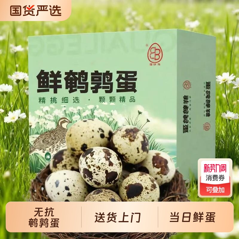 无抗鹌鹑蛋新鲜生鲜蛋健康好蛋50枚/盒源头直发安全优质抗生素