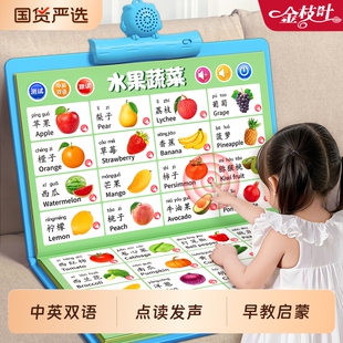 宝宝点读发声挂本启蒙认知婴幼儿童有声早教挂图幼小衔接识物儿歌