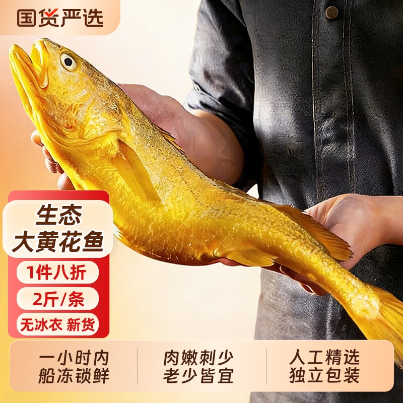 黄花鱼新鲜冷冻特大黄鱼深海鱼鲜活生鲜水产小黄鱼黄鱼鲞鱼类商用
