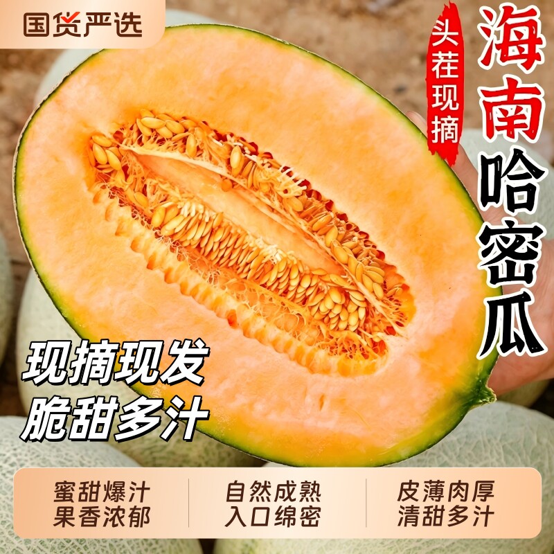 正宗海南哈密瓜当季新鲜水果整箱现摘西州蜜瓜脆甜小甜瓜龙纹密瓜