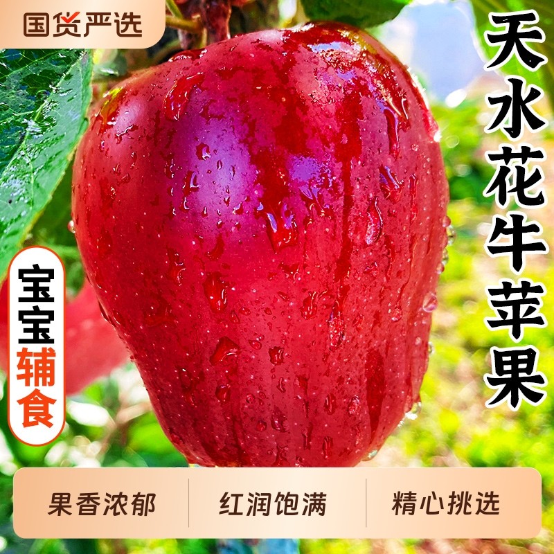 【喜仕鲜】甘肃天水花牛苹果直发当季水果新鲜红蛇粉面整箱包邮