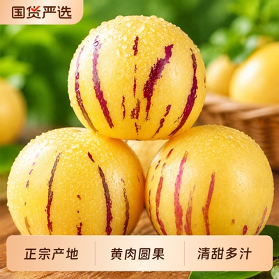 云南石林人参果树上熟清甜多汁