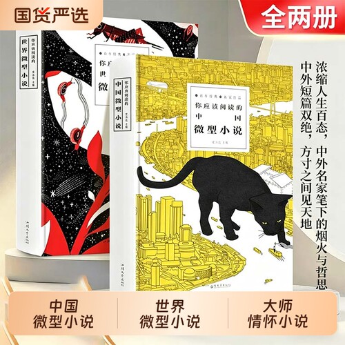 你应该阅读的中国微型小说世界百年经典名家作品青春文学短篇现当代尽享传世美文体味大师情怀小N说故事大全文学书散文