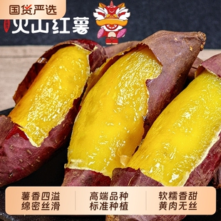 遂溪火山红薯番薯软糯蜜甜榴莲蜜薯黄心山芋香甜烤地瓜5斤包邮沙