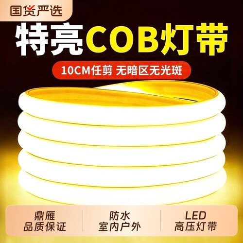 鼎雁灯带led灯条220v客厅超亮吊顶户外防水气氛灯灯带条自粘柔性