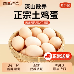 乡公馆鸡蛋官方旗舰店正宗农家散养新鲜土鸡蛋60枚礼盒生鲜柴鸡蛋