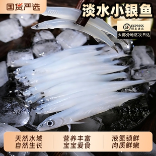 冰鲜银鱼食用淡水小银鱼鲜活液氮所选非银鱼干非太湖巢湖冷冻水产
