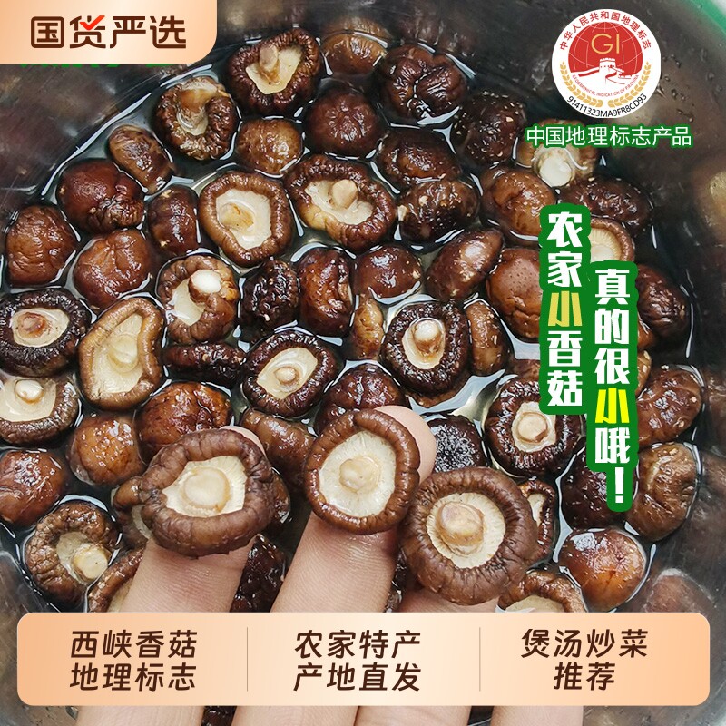 西峡香菇特小香菇金钱菇煲汤黄焖鸡食材西峡干货肉厚冬菇香菇产地
