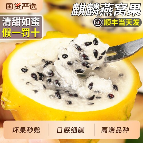 【产地直发】树上熟麒麟燕窝果