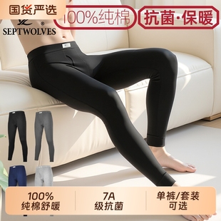 男7A抗菌打底针织长裤 秋裤 全棉毛裤 薄款 贴身衬裤 七匹狼纯棉保暖裤