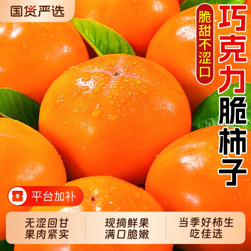 阳丰脆柿子新鲜水果当季巧克力脆柿大果冰糖心甜柿火晶柿整箱包邮