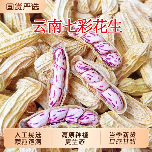 七彩花生米云南特产带壳晒干2026新货花生种粒熟原味咸干五彩水煮