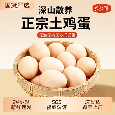 乡公馆鸡蛋官方旗舰店正宗农家散养新鲜土鸡蛋60枚礼盒生鲜柴鸡蛋