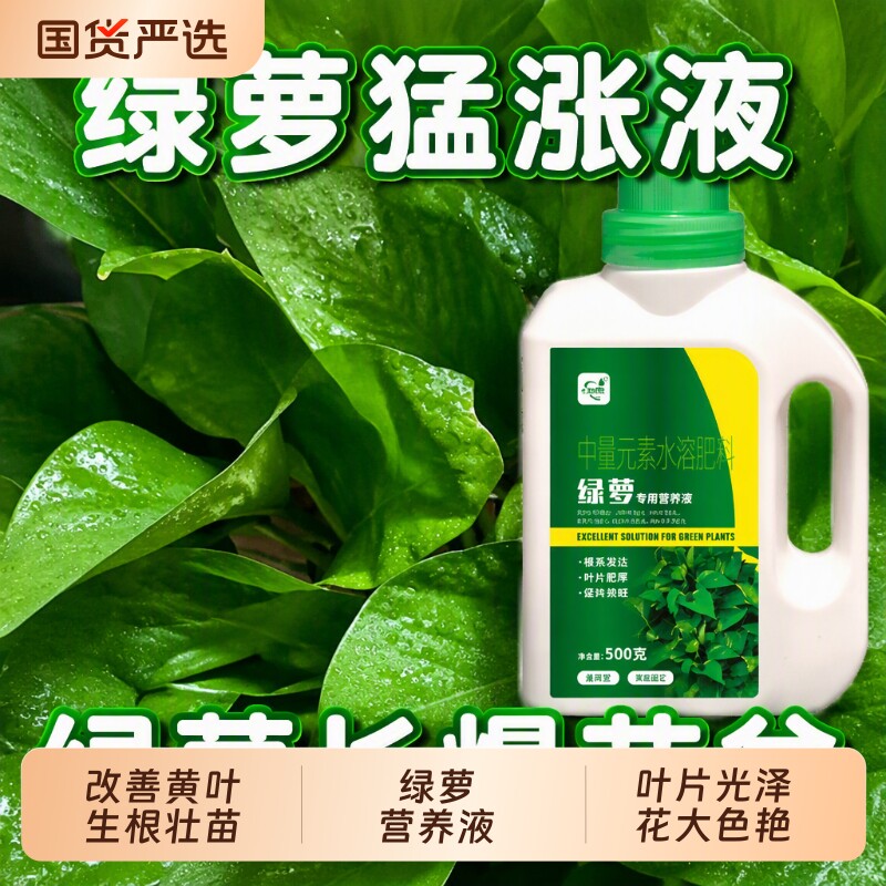 绿萝专用营养液猛生长防黄叶烂根图片