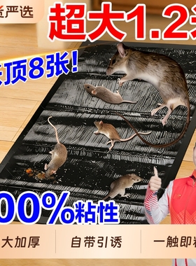 强力老鼠贴全粘鼠板家用窝端抓粘大老鼠粘鼠胶驱捕鼠神器魔毯超强