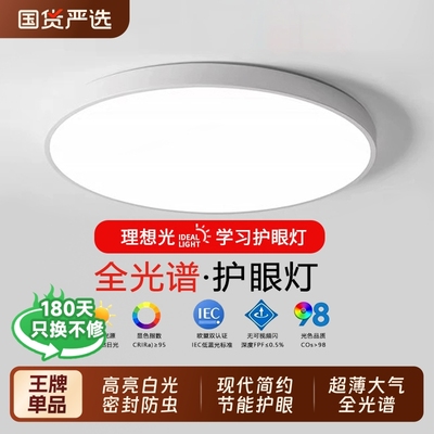 客厅吸顶灯卧室走廊厨房阳台