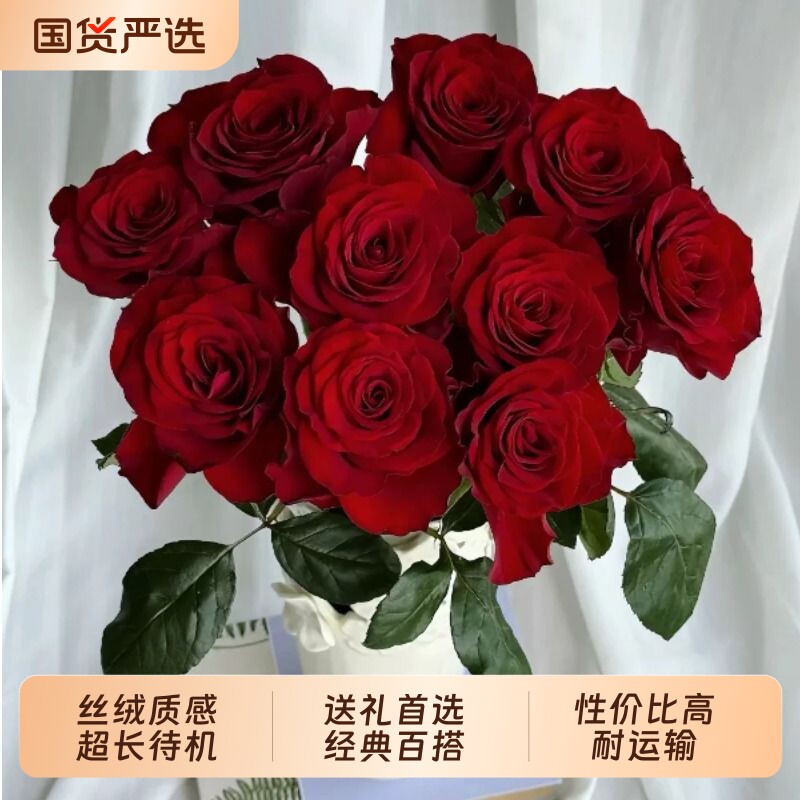 云南鲜切花红色玫瑰源头直发图片