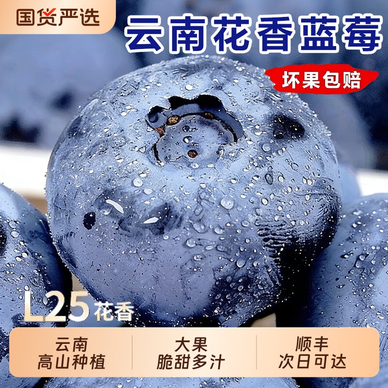云南蓝莓鲜果新鲜水果当季蓝梅现摘L25花香高山孕妇整箱顺丰包邮