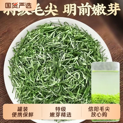 信阳毛尖2026新茶明前绿茶特级浓香型嫩芽春茶罐装高档茶叶礼盒