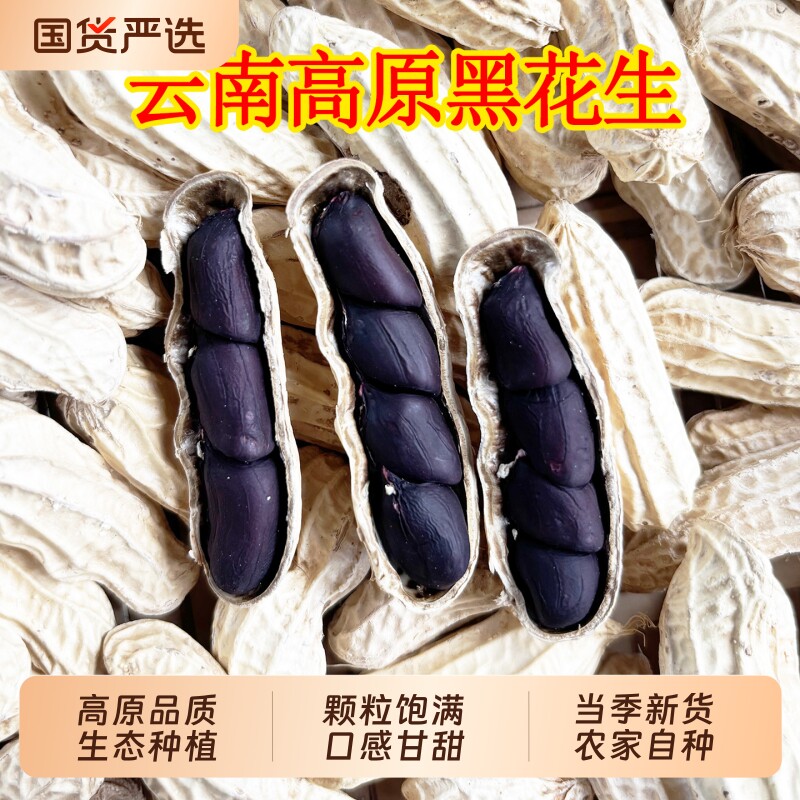 2025正宗富硒黑花生带壳紫黑花生晒干带壳云南特产黑皮花生米