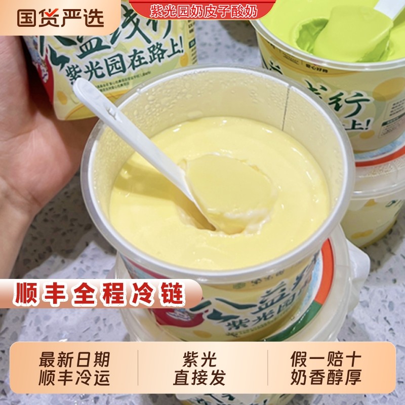 北京紫光园奶皮子酸奶老北京特产美食小吃网红酸奶顺丰冷运包邮