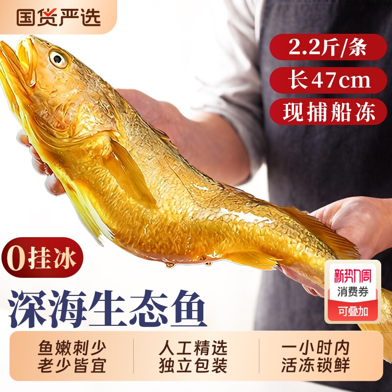 黄花鱼新鲜冷冻特大黄鱼深海鱼鲜活生鲜水产小黄鱼黄鱼鲞鱼类商用