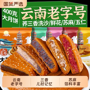 红塔云南老字号大荞饼洗沙三香大饼荞麦粑粑月饼豆沙五仁传统美味