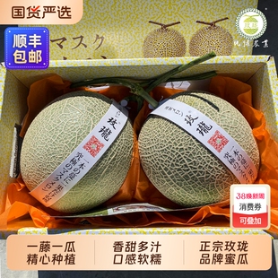 【玫珑】正宗玫珑蜜瓜2颗5斤礼盒装当季一藤一瓜软糯网纹甜瓜顺丰