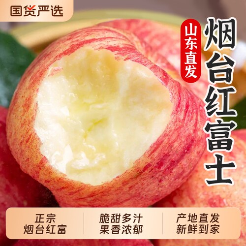 正宗山东烟台红富士苹果产地直发