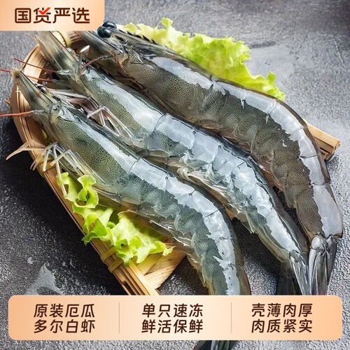 厄瓜多尔白虾大虾鲜活速冻盐冻2030南美白虾基围虾海虾对海鲜冷冻