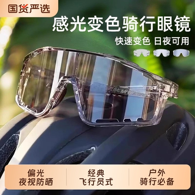 骑行护目镜防风变色日夜两用登山