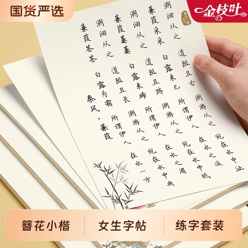 簪花小楷字帖成人练字行楷练字帖女生字体漂亮静心钢笔练字专用硬笔书法大人成年大气入门教程零基础古诗词练习楷书临摹写字本贴