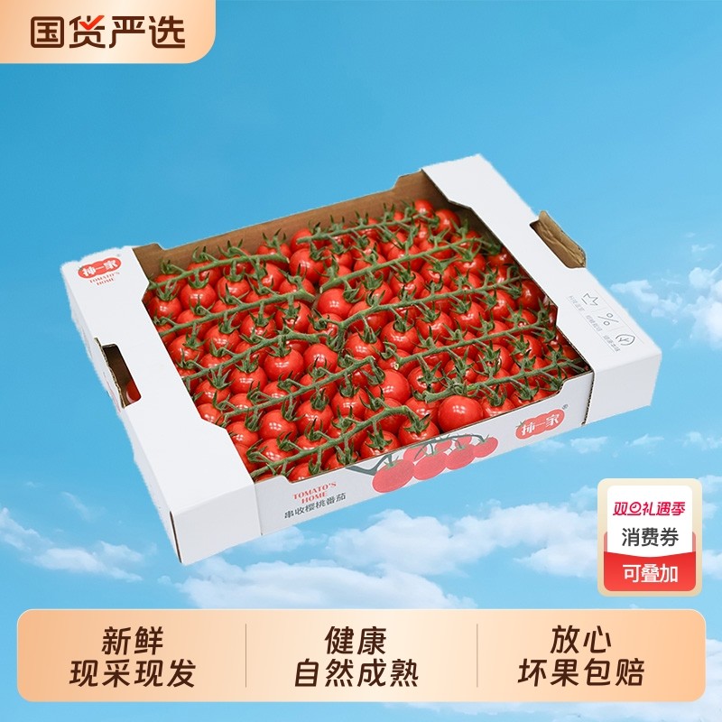 柿一家串收樱桃番茄1.5kg新鲜水果千禧圣女果小西红柿绿色一颗