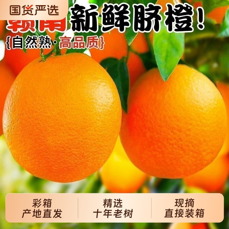 正宗赣南脐橙当季新鲜水果现摘现发农家不催熟宝宝甜橙子10斤包邮,水产肉类/新鲜蔬果/熟食,橙,淘宝优惠券,粉丝福利购,淘宝优惠卷