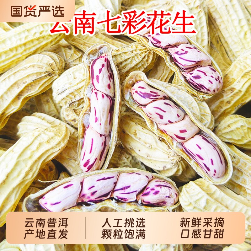 云南新货七彩花生带壳富硒云南黑花生七彩花生种野地水果花生礼盒