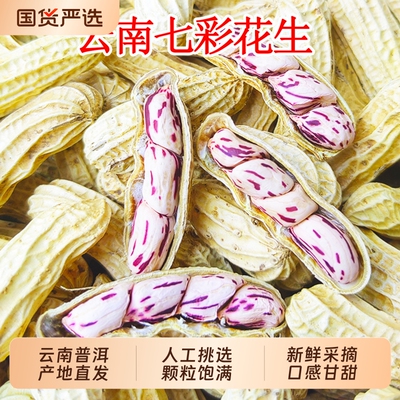 云南新货七彩花生带壳富硒云南黑花生七彩花生种野地水果花生礼盒