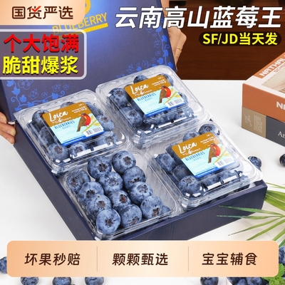 京东速达丨云南蓝莓王鲜果