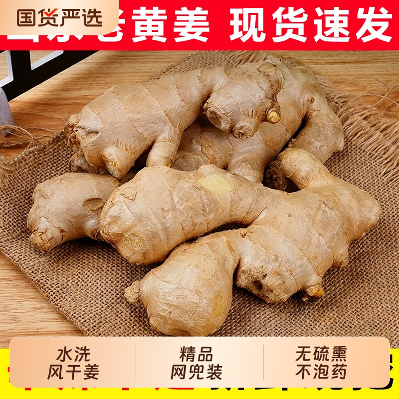 山东大姜老黄姜优质生姜月子姜风干姜现挖鲜姜新鲜本地大黄姜包邮
