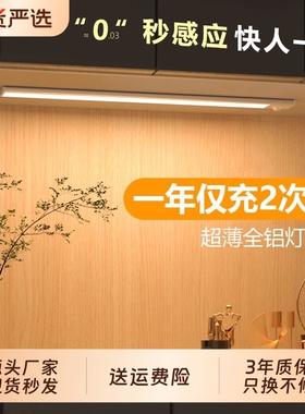 灯带自粘人体感应灯无线磁吸免插电橱柜酒柜衣柜玄关鞋柜led灯条