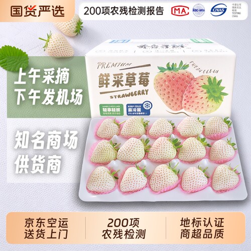 淡雪白草莓礼盒装白雪公主新鲜水果高端礼物白色生日礼物配送现摘