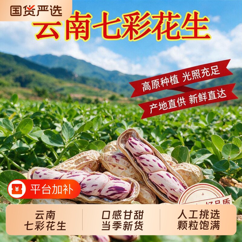 云鲜赞云南七彩花生水煮咸干花生米带壳生熟新鲜零食原味晒干新货