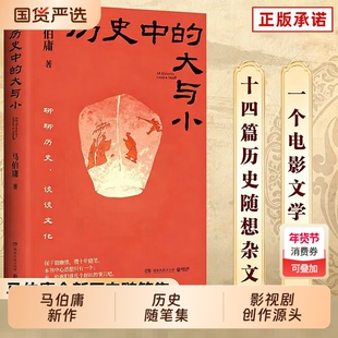 历史中的大与小马伯庸作品2026新书桃花源没事儿食南之徒太白金星有点烦长安的荔枝显微镜下的大明长安十二时辰凤起陇西正版
