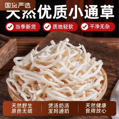 正品小通草中药材产后通奶